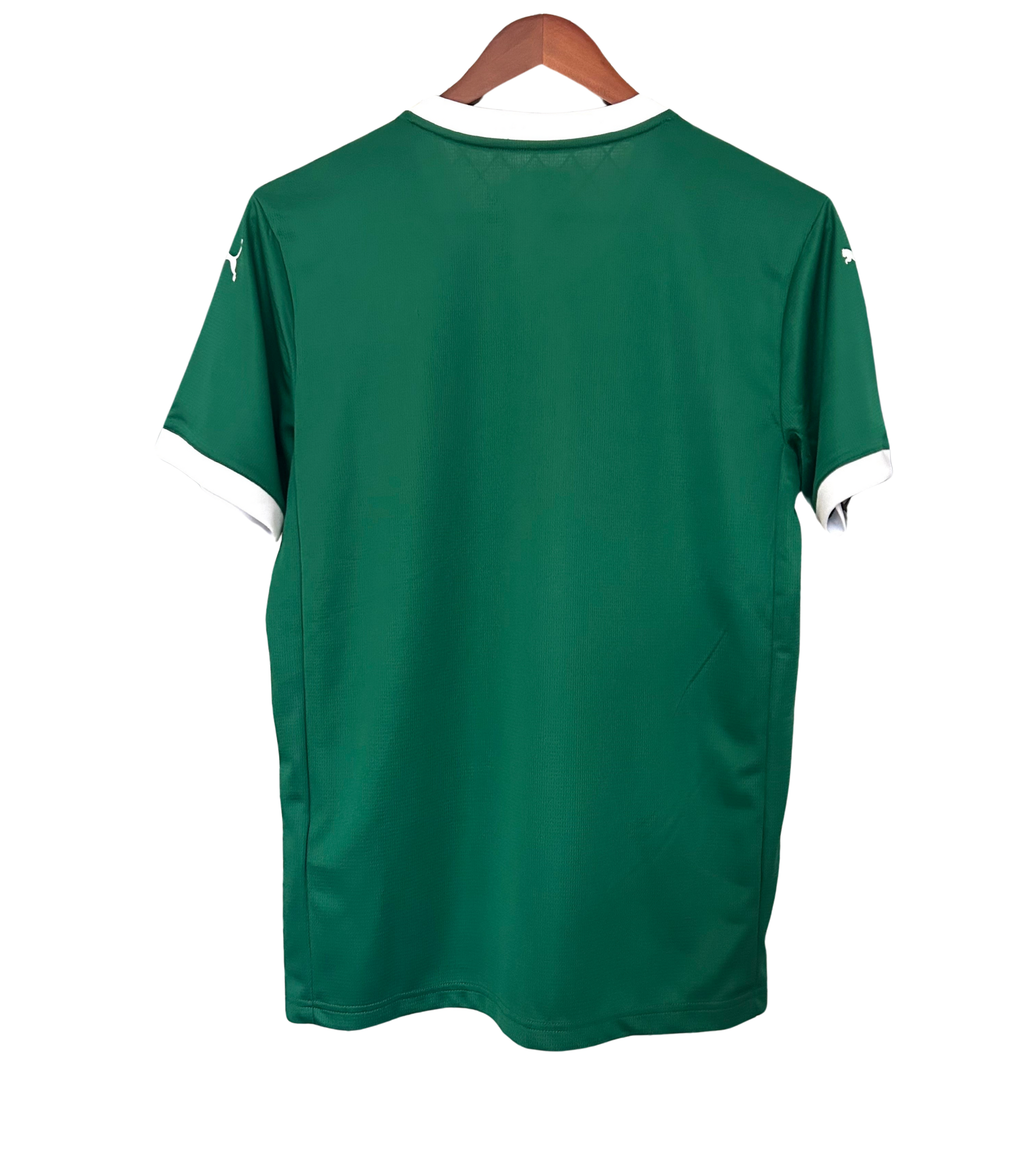 Camisa Palmeiras 25/26 Home